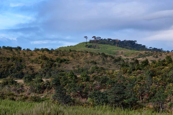 Doğal görünümü Horton ovaları, Sri Lanka