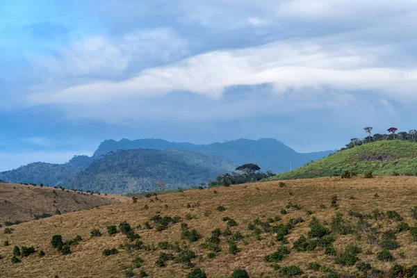 Scenic view in Horton Plains, Sri Lanka — Stock Photo, Image