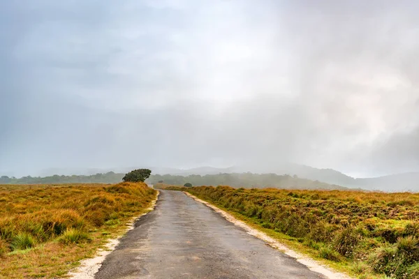 Estrada que leva a Horton Plains, Sri Lanka — Fotografia de Stock