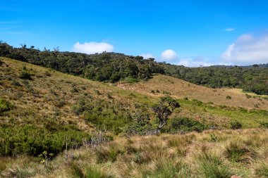 Doğal görünümü Horton ovaları, Sri Lanka