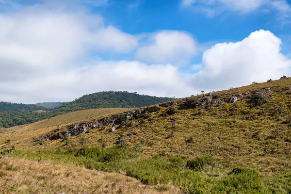 Doğal görünümü Horton ovaları, Sri Lanka