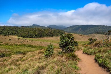 Doğal görünümü Horton ovaları, Sri Lanka