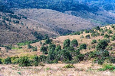 Doğal görünümü Horton ovaları, Sri Lanka