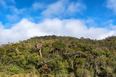 Doğal görünümü Horton ovaları, Sri Lanka