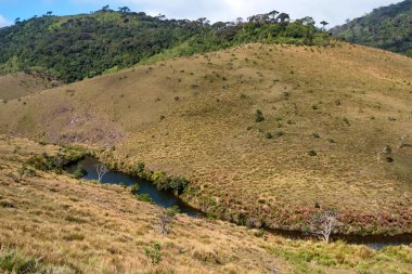 Doğal görünümü Horton ovaları, Sri Lanka