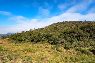 Doğal görünümü Horton ovaları, Sri Lanka