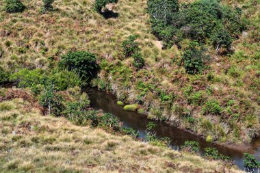 Yolun Horton ovaları, Sri Lanka için