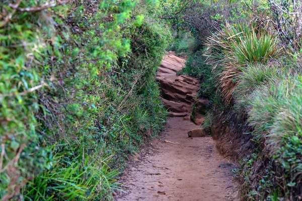 Pemandangan indah di Horton Plains, Sri Lanka — Stok Foto