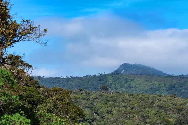 Vue panoramique à Horton Plains, Sri Lanka — Photo