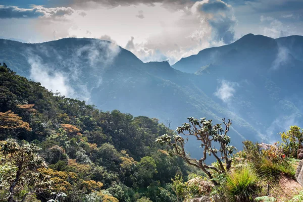 Vista nebulosa cênica do fim dos mundos no Sri Lanka — Fotografia de Stock