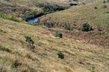 Yolun Horton ovaları, Sri Lanka için