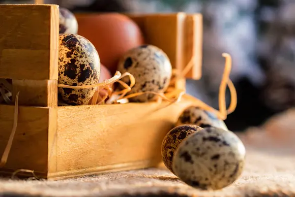 Prosto z farmy brązowy jaja na tle rustykalnym — Zdjęcie stockowe