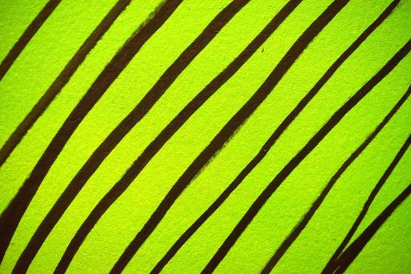 Padrão abstrato de linhas pretas em verde — Fotografia de Stock