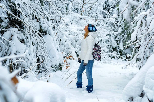 Giovane escursionista donna in legno di montagna invernale — Foto Stock