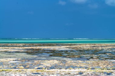 Düşük tide tropikal plaj