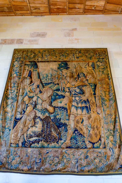 AMBOISE, FRANCIA - CIRCA JUNIO 2014: Hermoso tapiz en la pared del castillo — Foto de Stock