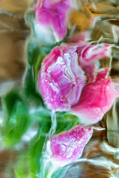 Ramo decorativo de tulipanes en hielo —  Fotos de Stock