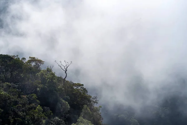 在斯里兰卡的世界尽头的风景朦胧的看法 — 图库照片