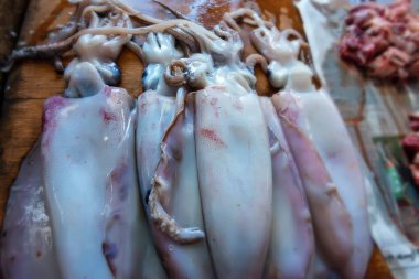 Balık pazarı, taze kalamar