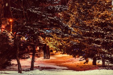 Sevgi dolu çift yürümek kış akşamları arkadan görünüm