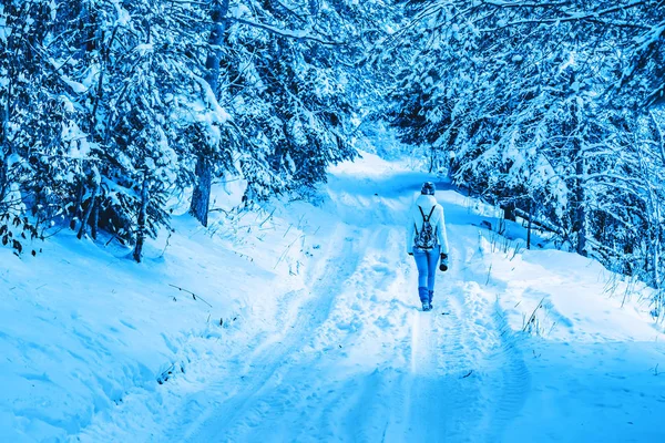 Kışın dağ ormanında genç bayan yürüyüşçü.