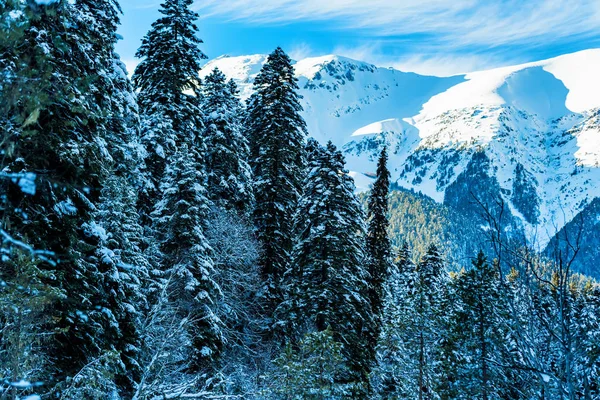 Winterlandschap met rotsen en sneeuw — Stockfoto