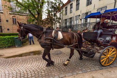 Bruges, Belçika - 10 Haziran 2014: At arabası sokakta, Bruges, Belçika