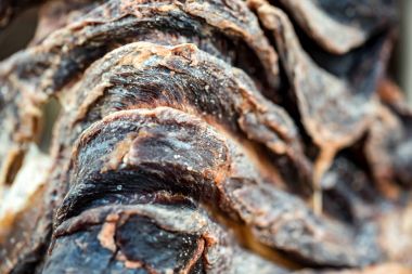 Kızarmış biftek kapatın