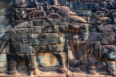 Kamboçya Angkor Thom filler Teras