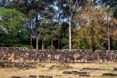 Kamboçya Angkor Thom filler Teras