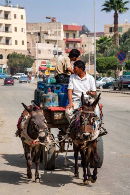 Hurghada, Mısır - 22 Şubat 2010: iki kimliği belirsiz katır atlı arabası üzerinde