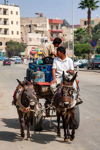 HURGHADA, EGITTO - 22 FEBBRAIO 2010: Due mulattieri non identificati sul carrello — Foto Stock