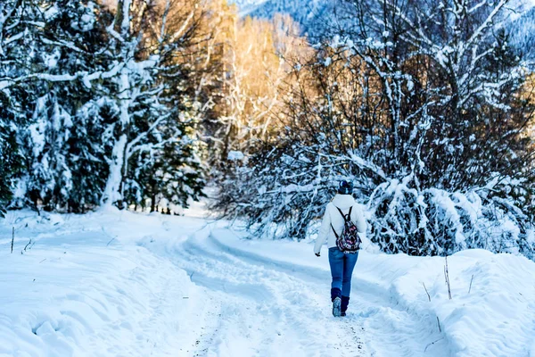 Jonge vrouwelijke wandelaar in de winter bergbos — Stockfoto