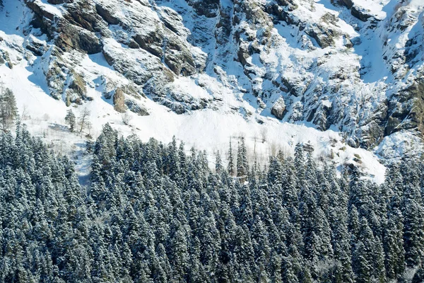 Montañas nevadas de invierno con bosque de madera blanda —  Fotos de Stock