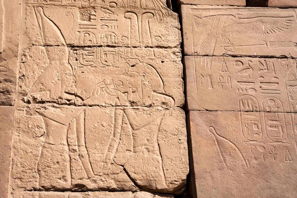 Hieroglyphs of Karnak temple — Stock Photo, Image
