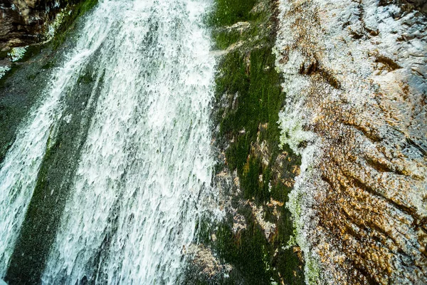 野生の渓流と美しい風景 — ストック写真