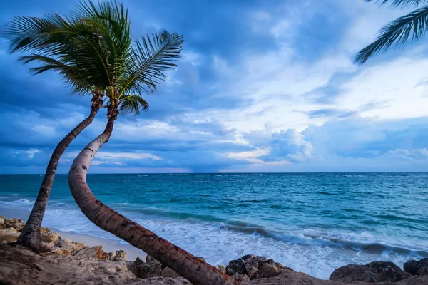 Praia tropical com palmeiras e oceano — Fotografia de Stock