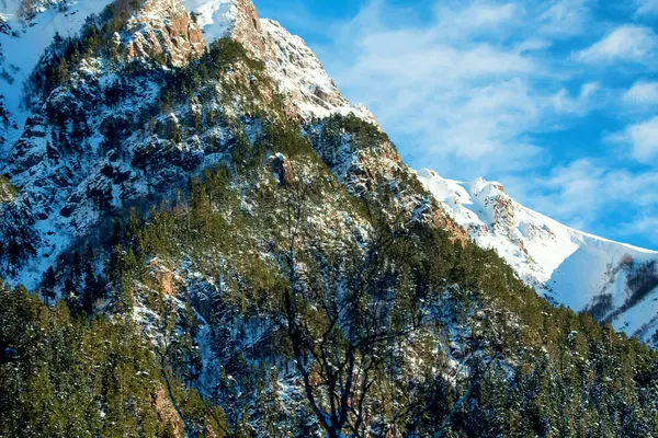 Zimní horská krajina se skalami a sněhem — Stock fotografie