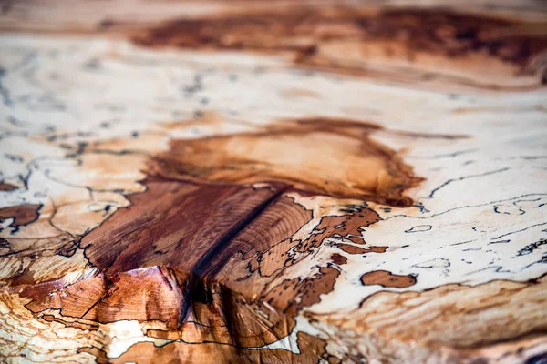 너도 밤나무 테이블 텍스처의 아름 다운 패턴 — 스톡 사진