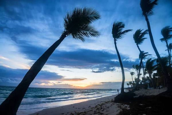 Praia tropical com palmeiras e oceano — Fotografia de Stock