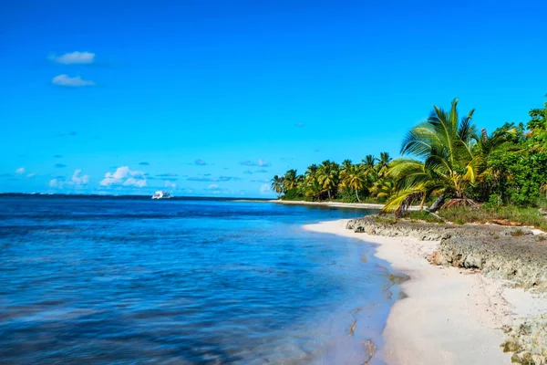 Tropical beach with palm trees and ocean Stock Photo