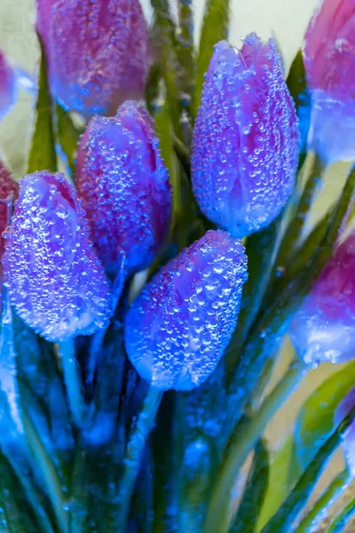 Ramo decorativo de tulipanes en hielo — Foto de Stock