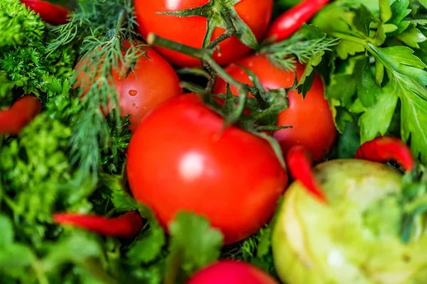 Färska grönsaker och örter på träbord — Stockfoto