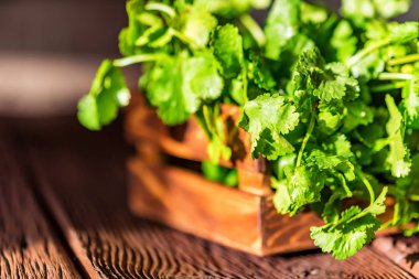 Salantro ahşap arka plan üzerinde ahşap kutusunda kapatın