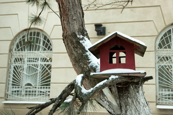 Maison d'oiseaux couverte de neige en hiver — Photo