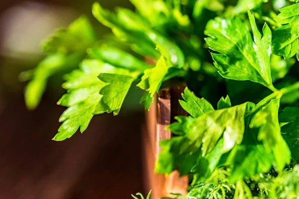 Dill fresco e salsa em caixa de madeira perto — Fotografia de Stock