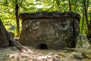 Caucasus dolmen ormandaki