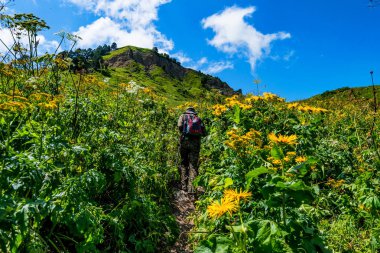 Arkadan Görünüm dağ çayır uzun yürüyüşe çıkan kimse