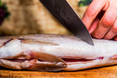 Kesme zander ahşap tahta üzerinde kapatın