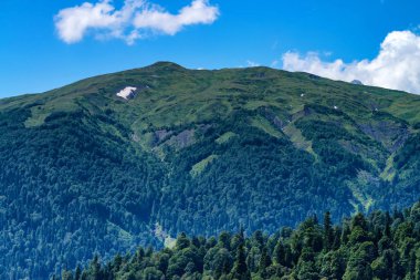 Dağ manzarası kayalar ve orman